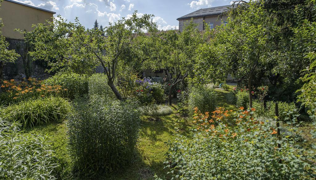 Hotel La Vecchia Casa Cetinje Exteriér fotografie